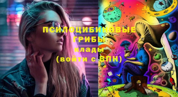 бутират Козловка