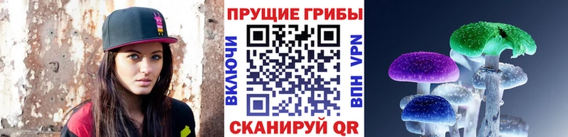 Купить  Гагарин  Псилоцибиновые грибы Psilocybine cubensis 